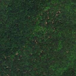 Satellite imagery of Žuta Kosa, HR