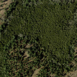 Satellite imagery of Hardwood Mountain, CA