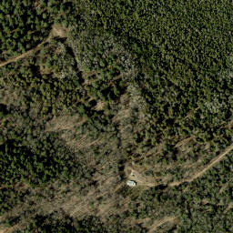 Satellite imagery of Hardwood Mountain, CA