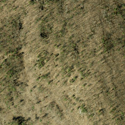 Satellite imagery of Pine Ridge, CA