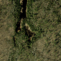 Satellite imagery of Pine Ridge, CA
