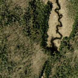 Satellite imagery of Pine Ridge, CA