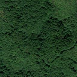 Satellite imagery of Žuta Kosa, HR