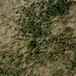 Satellite imagery of Hardwood Mountain, CA