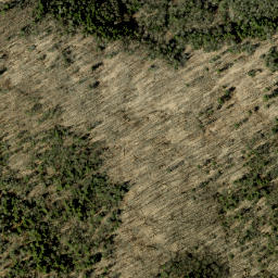 Satellite imagery of Hardwood Mountain, CA
