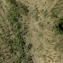 Satellite imagery of Pine Ridge, CA