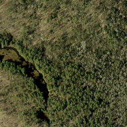 Satellite imagery of Pine Ridge, CA