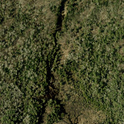 Satellite imagery of Pine Ridge, CA