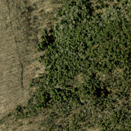 Satellite imagery of Tower Mountain, CA