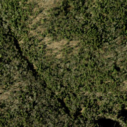 Satellite imagery of Tower Mountain, CA