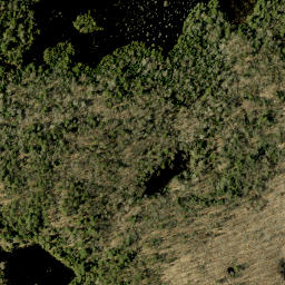 Satellite imagery of Tower Mountain, CA