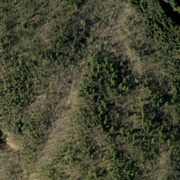 Satellite imagery of Closs Lake Mountain, CA