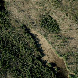 Satellite imagery of Closs Lake Mountain, CA