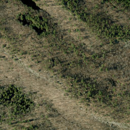 Satellite imagery of Closs Lake Mountain, CA