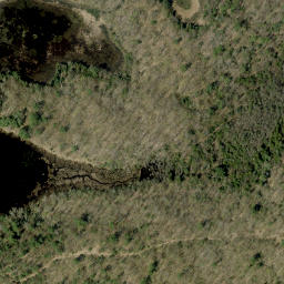 Satellite imagery of Mile Lake Mountain, CA