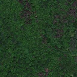 Satellite imagery of Adžića Kosa, HR