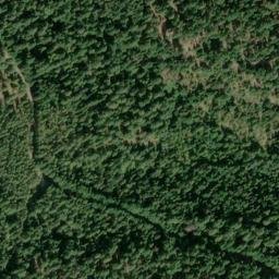 Satellite imagery of Bus Point, US