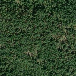 Satellite imagery of Bus Point, US