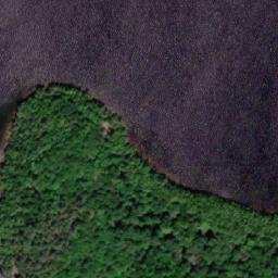 Satellite imagery of Joli Point, CA