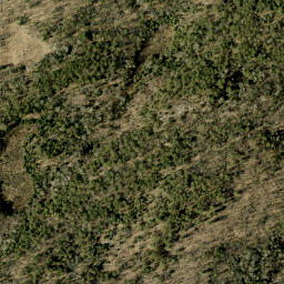 Satellite imagery of Tower Mountain, CA