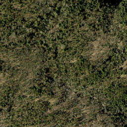 Satellite imagery of Tower Mountain, CA