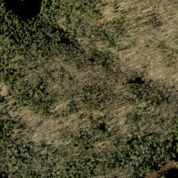 Satellite imagery of Tower Mountain, CA