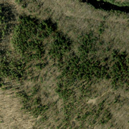 Satellite imagery of Mile Lake Mountain, CA