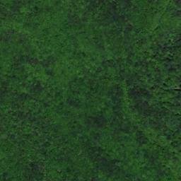 Satellite imagery of Adžića Kosa, HR