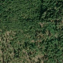Satellite imagery of Bus Point, US