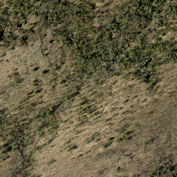 Satellite imagery of Tower Mountain, CA