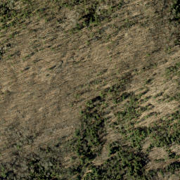 Satellite imagery of Tower Mountain, CA