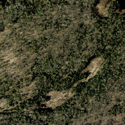 Satellite imagery of Tower Mountain, CA