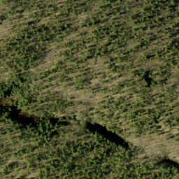 Satellite imagery of Closs Lake Mountain, CA