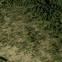 Satellite imagery of Closs Lake Mountain, CA
