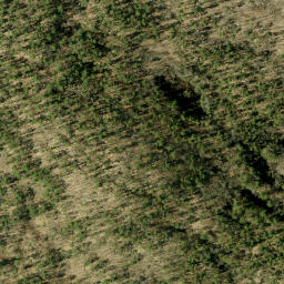 Satellite imagery of Mile Lake Mountain, CA