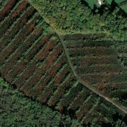 Satellite imagery of Château de Borie-Petit, FR