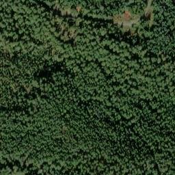 Satellite imagery of Forest Creek Quarry, US