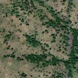 Satellite imagery of Snowshoe Mine, US