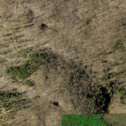 Satellite imagery of Crankshaw Hill, CA