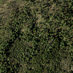 Satellite imagery of Bluff Mountain, CA