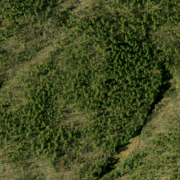 Satellite imagery of McGonegals Mountain, CA