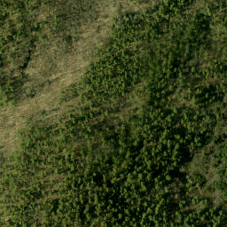 Satellite imagery of McGonegals Mountain, CA