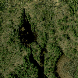 Satellite imagery of McGonegals Mountain, CA