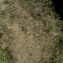 Satellite imagery of Crankshaw Hill, CA