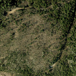 Satellite imagery of Bluff Mountain, CA