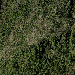 Satellite imagery of Bluff Mountain, CA
