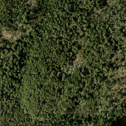 Satellite imagery of Bluff Mountain, CA