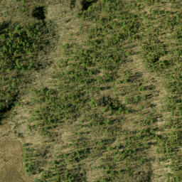 Satellite imagery of McGonegals Mountain, CA