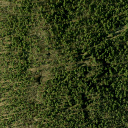 Satellite imagery of McGonegals Mountain, CA