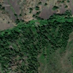 Satellite imagery of Snowshoe Mine, US